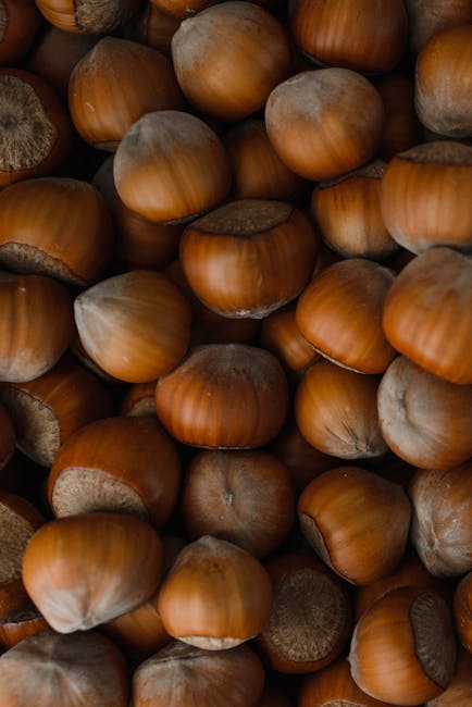 Fresh whole hazelnuts representing natural nutrition